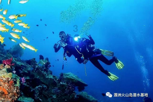 请问烟台山医院耳鼻喉科的，哪个大夫做鼻内窥镜手术更好一些游戏画面
